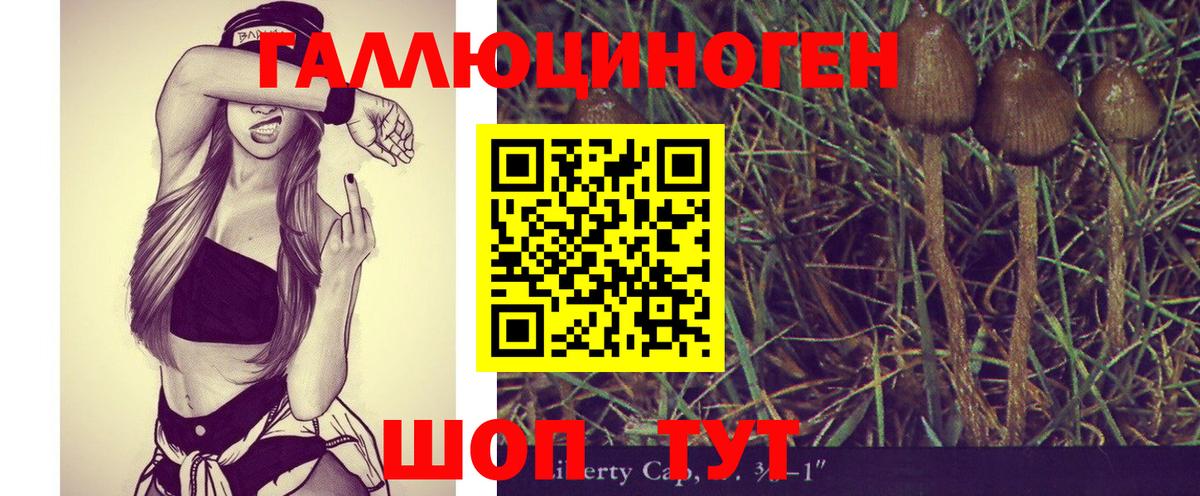 Галлюциногенные грибы прущие грибы Клинцы
